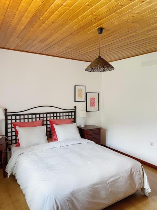 Casa De Alventela - Countryside House Villa Paredes de Viadores Ngoại thất bức ảnh