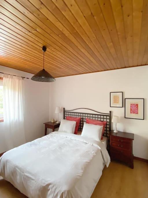 Casa De Alventela - Countryside House Villa Paredes de Viadores Ngoại thất bức ảnh